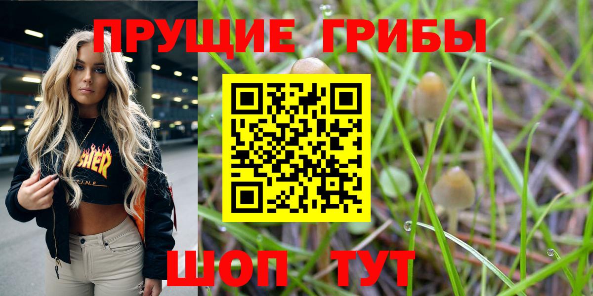 Псилоцибиновые грибы Cubensis  наркошоп  Ялта  Вход с VPN 