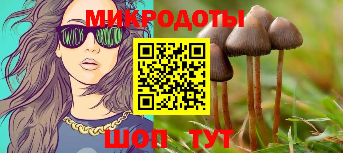 Псилоцибиновые грибы Cubensis Ялта